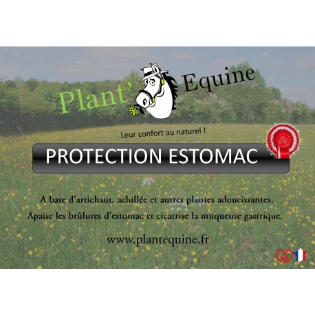 Protection Estomac "Compétition"