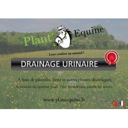 "Plant'Equine" Drainage Urinaire