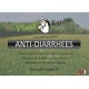 "Plant'Equine" Anti diarrhées