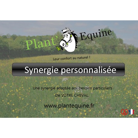SYNERGIE PERSONNALISEE