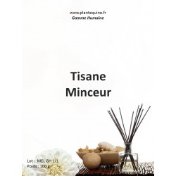 Tisane Minceur