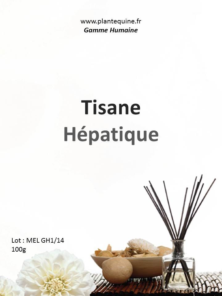 Tisane Foie - Plant'Equine