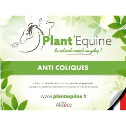 "Plant'Equine" Digestion