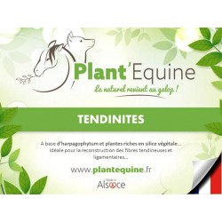 "Plant'Equine" Tendinites