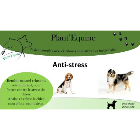 Anti stress chiens