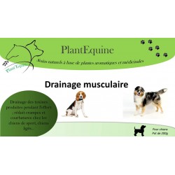 Drainage musculaire "Chiens"
