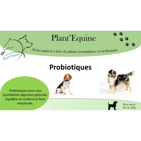 Probiotiques chiens