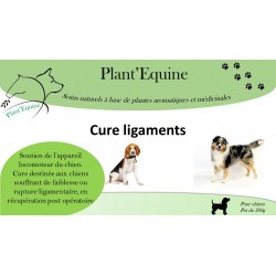 Cure  ligaments chiens