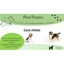 Cure Chiots