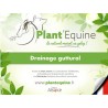 "Plant'Equine" Drainage guttural