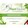 "Plant'Equine" Summer dermatitis"