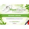 Drainage Urinaire