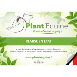 Plant'Equine Remise en Etat