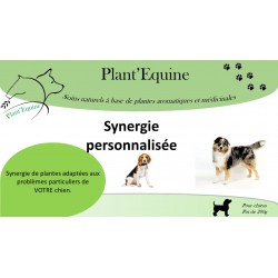 SYNERGIE PERSONNALISEE CHIEN