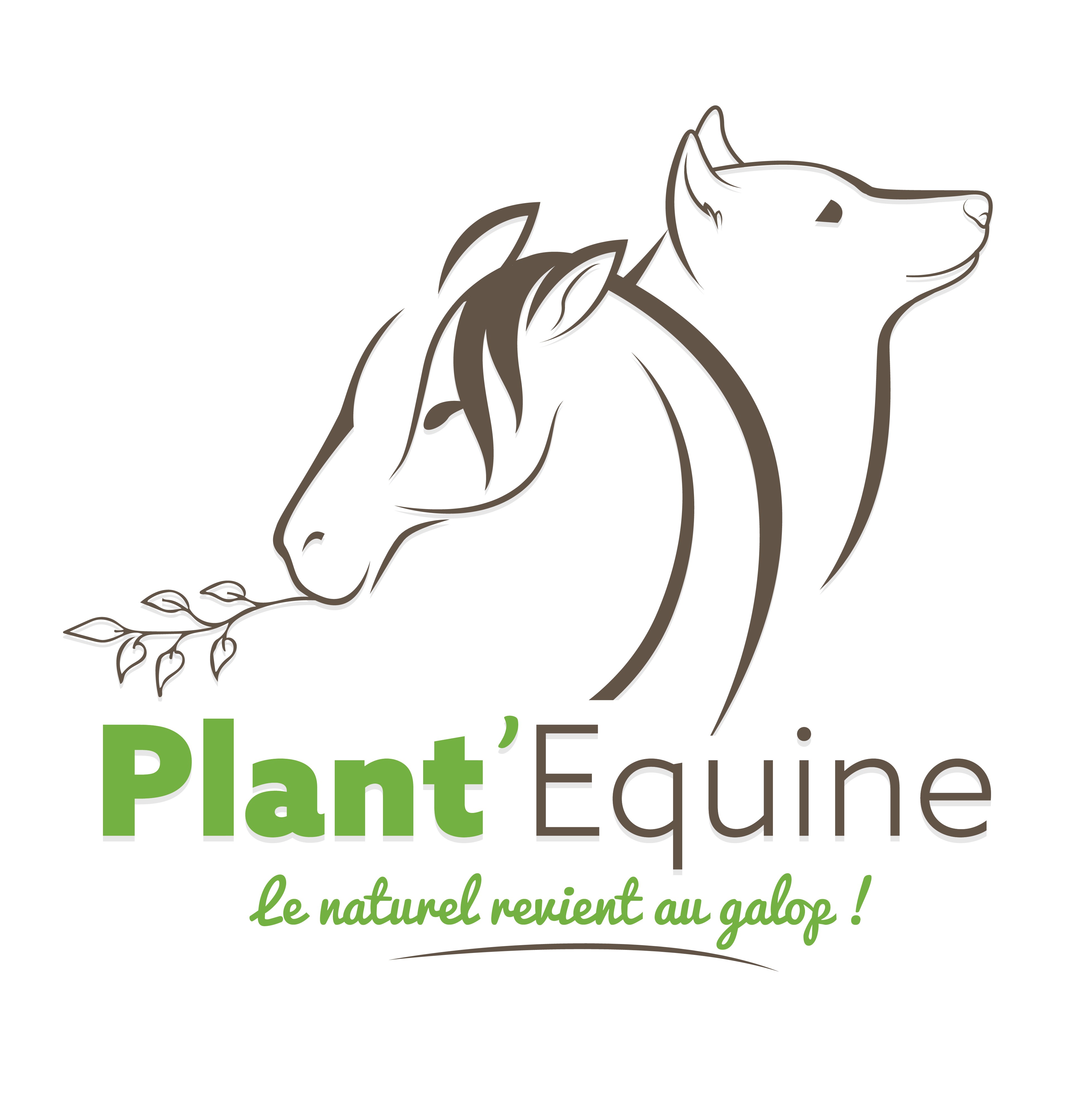 Plant'Equine